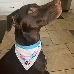 Meet your Posher, Eileen